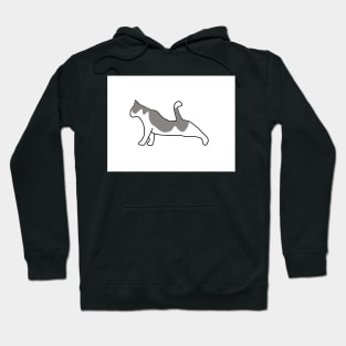 White and gray cat Hoodie